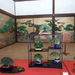 小品盆栽 in 随心院 – 現代盆栽 Gendaibonsai